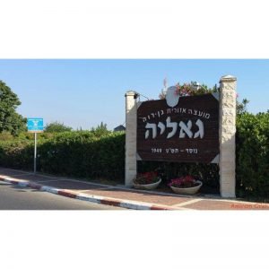 white-תחזית מזג האוויר בגאליה לשבוע הקרוב