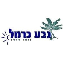 white-תחזית מזג האוויר בגבע כרמל לשבוע הקרוב