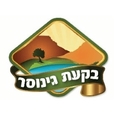 white-תחזית מזג האוויר בגינוסר היום