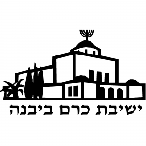 white-תחזית מזג האוויר בכרם יבנה (ישיבה) היום