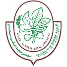 white-תחזית מזג האוויר במג'ד אל כרום היום