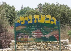 התחזית מזג האוויר בגבעת ניל''י