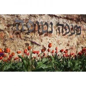 מזג האוויר במצפה נטופה