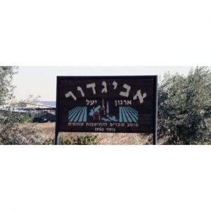 תחזית מזג האוויר באביגדור