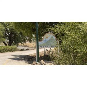 תחזית מזג האוויר באלמגור