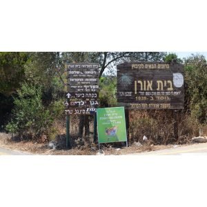 תחזית מזג האוויר בבית אורן