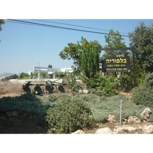 תחזית מזג האוויר בבלפוריה