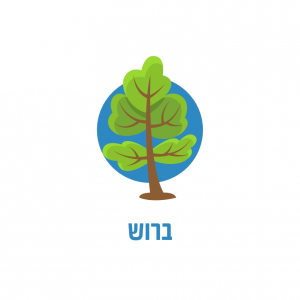 תחזית מזג האוויר בברוש