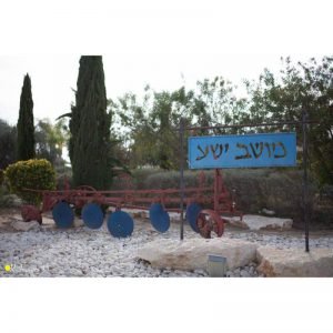 תחזית מזג האוויר בישע