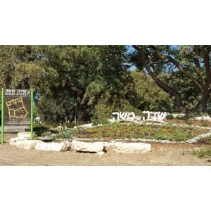 תחזית מזג האוויר בשדה משה