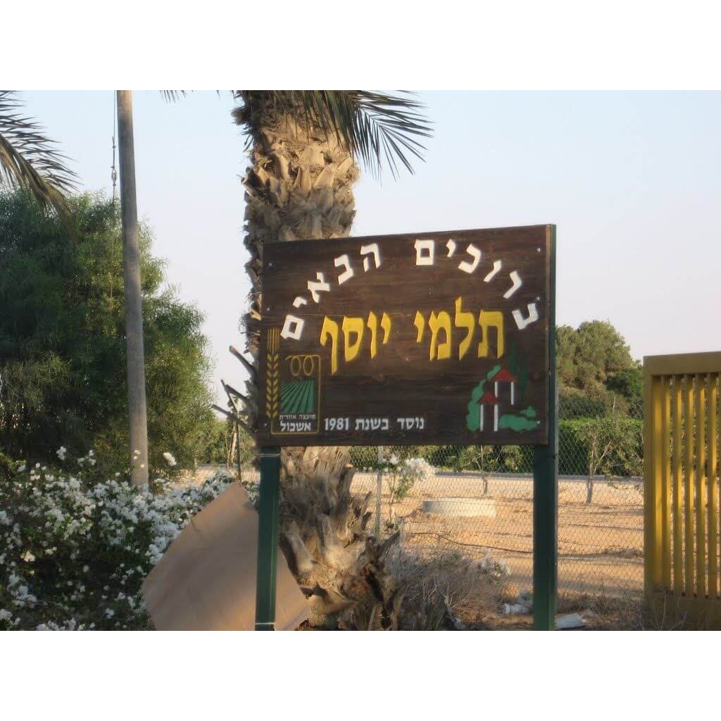 תחזית מזג האוויר בתלמי יוסף