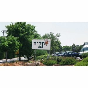 white-מזג-האוויר-ב-סתריה_optimized