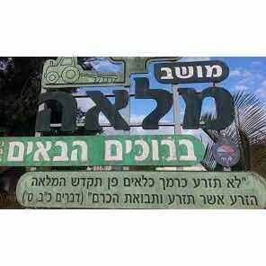 white-מזג-האוויר-במלאה_optimized