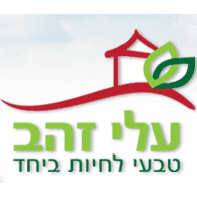 white-מזג-האוויר-בעלי-זהב_optimized