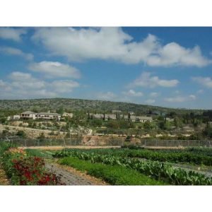 מזג אוויר בכישור