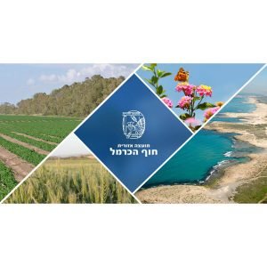 מזג האוויר בחוף הכרמל