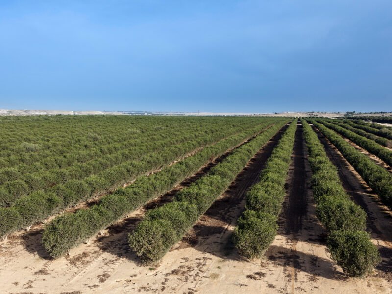 מזג האוויר בחצרים