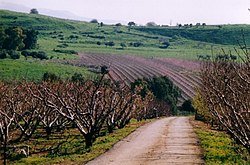 מזג האוויר ביובל