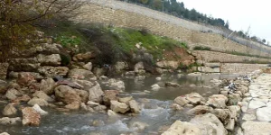 מזג האוויר בכפר אבו עמאר