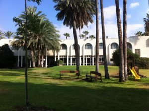 מזג האוויר בכרי דשא