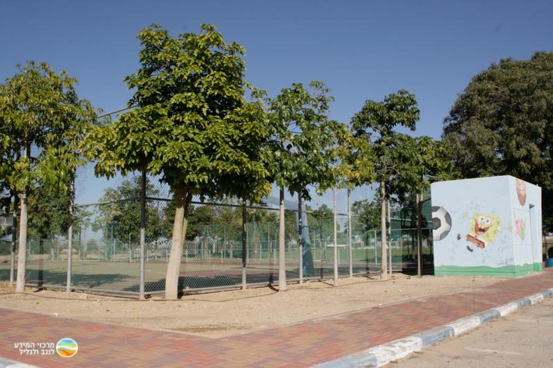 מזג האוויר במושב עמיעוז