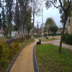 מזג האוויר בנווה אבות