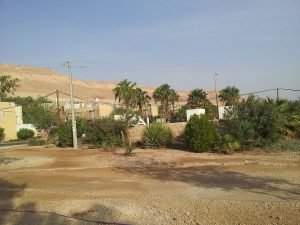 מזג האוויר בנווה זוהר