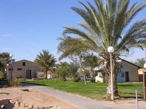 מזג האוויר בנווה חריף