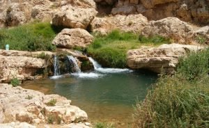 מזג האוויר בנחל אלישע