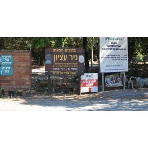 מזג האוויר בניר עציון