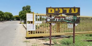 מזג האוויר בעדנים