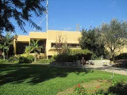 מזג האוויר בעלומים