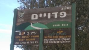 מזג האוויר בפדויים