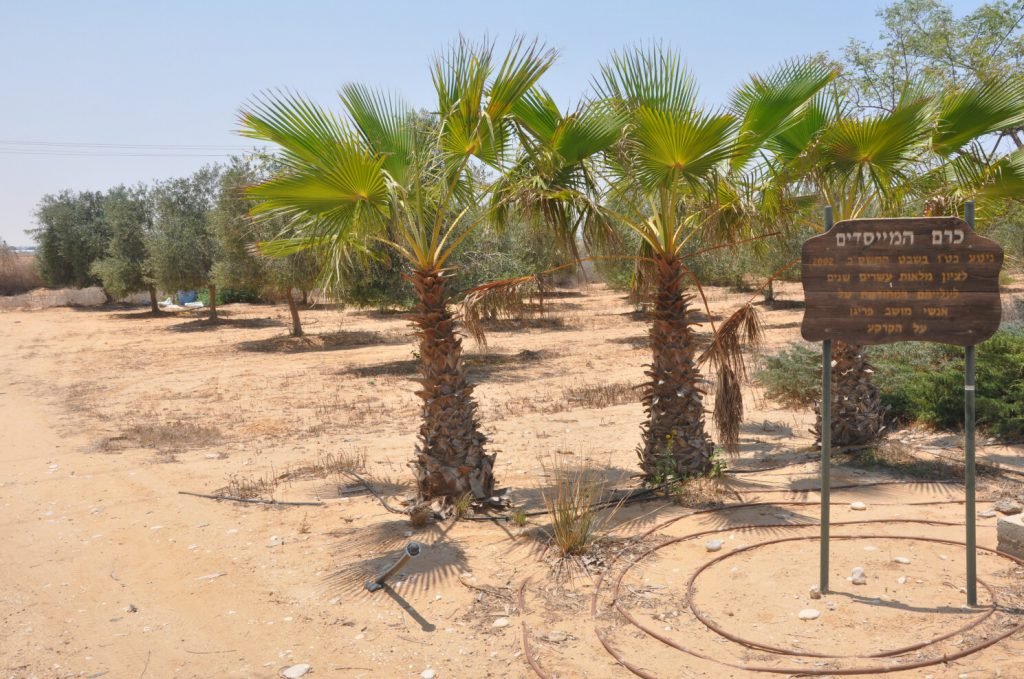 מזג האוויר בפרי גן