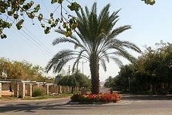 מזג האוויר בצופר