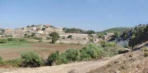 מזג האוויר בראס עלי