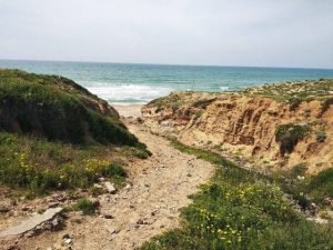 מזג האוויר בשושנת העמקים