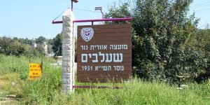 מזג האוויר בשעלבים