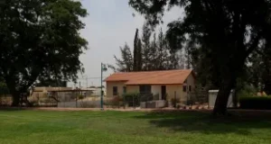 מזג האוויר בתדהר