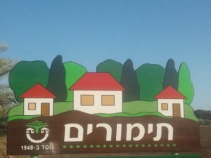 מזג האוויר בתימורים