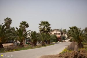 מזג האוויר בתלמי אליהו