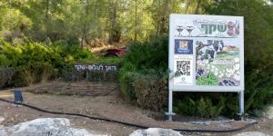 מזגד האוויר במושב שקף