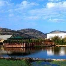 תחזית אוויר בצביה