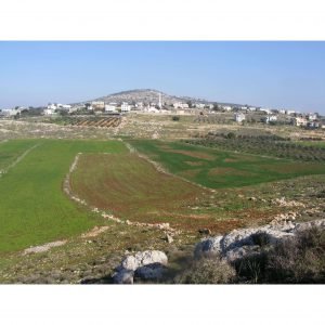 תחזית אוויר ברומת הייב