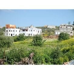 תחזית האוויר בסואעד