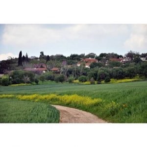 תחזית מזג האוויר באלונים