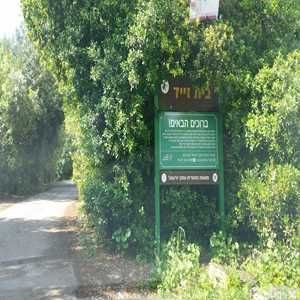 תחזית מזג האוויר בבית זיד