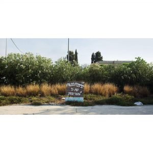 תחזית מזג האוויר בכפר גדעון