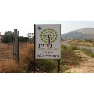 תחזית מזג האוויר בנורית