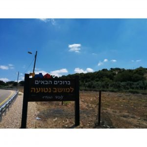 תחזית מזג האוויר בנטועה